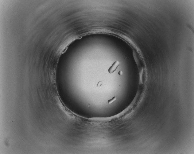 X0000099540905200805161425