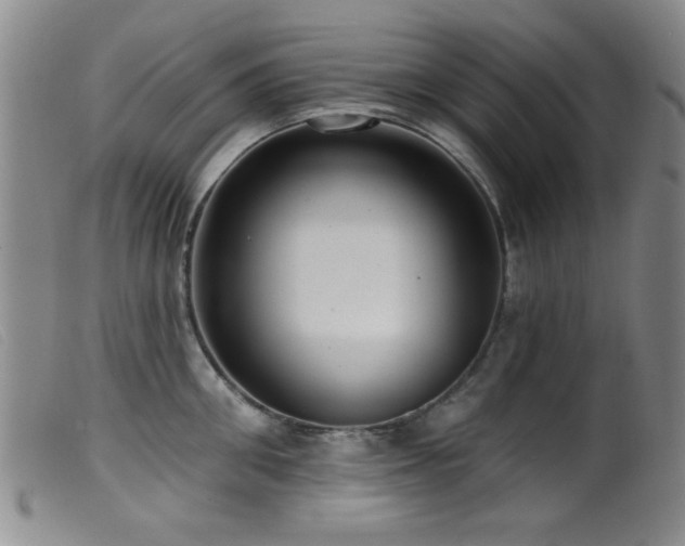 X0000099540906200805161425