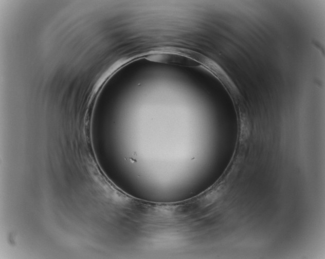 X0000099540908200805161425