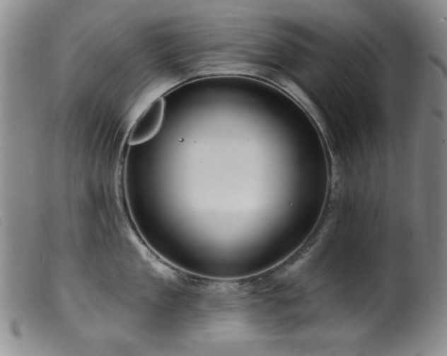 X0000099540909200805161425