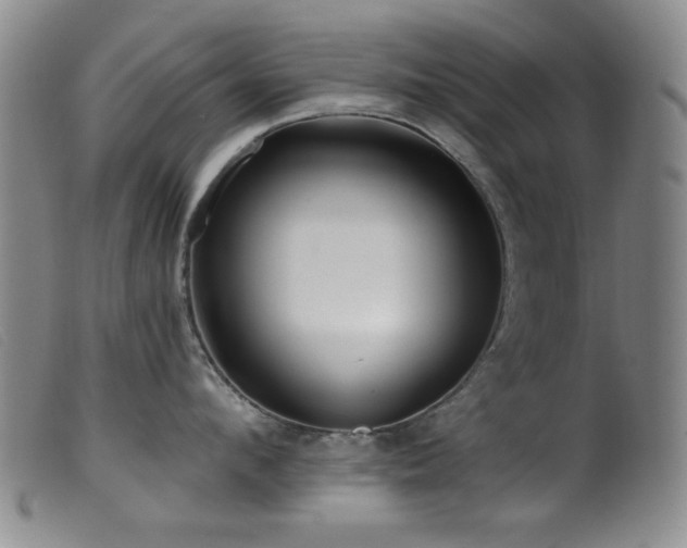 X0000099540912200805161425