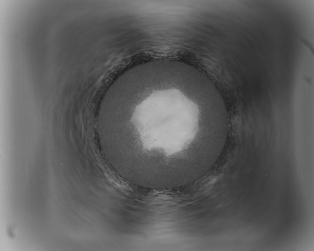 X0000099540913200805161424
