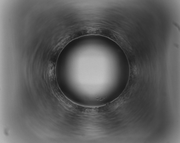 X0000099540914200805161424