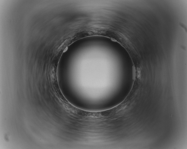 X0000099540915200805161424
