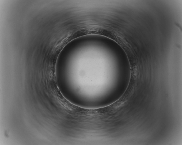 X0000099540916200805161424
