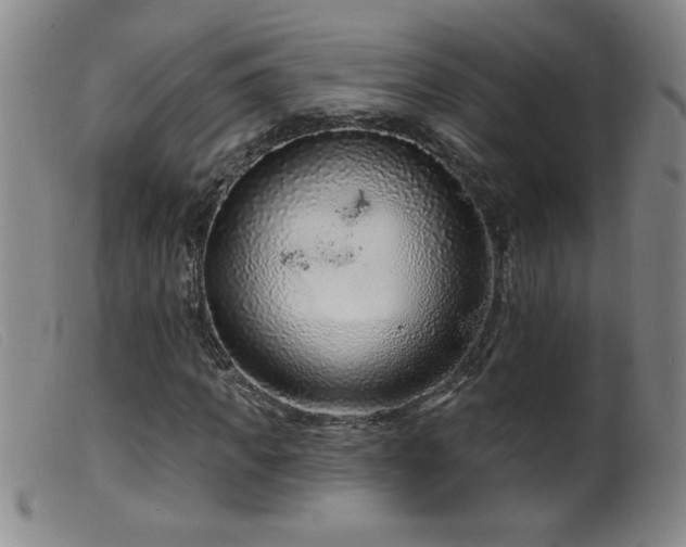 X0000099540917200805161424