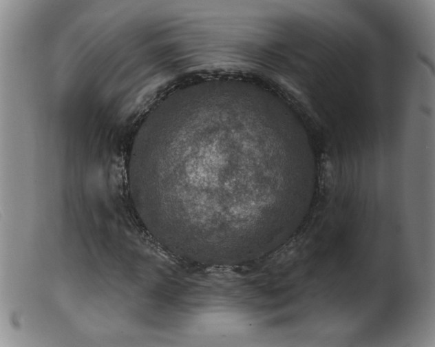 X0000099540918200805161424