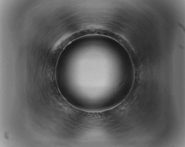 X0000099540919200805161424