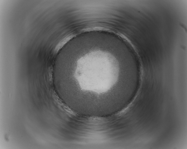 X0000099540921200805161424