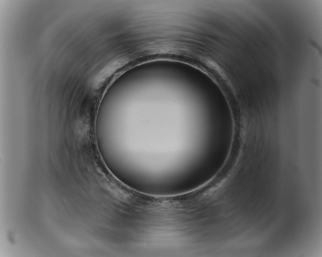 X0000099540922200805161424