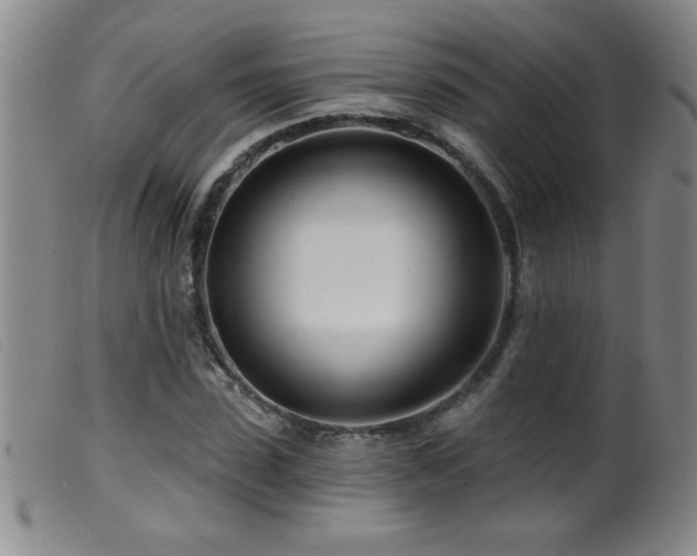 X0000099540923200805161424