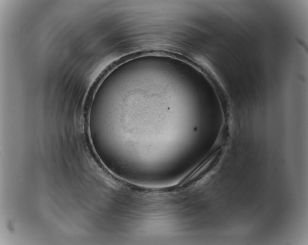 X0000099540924200805161424