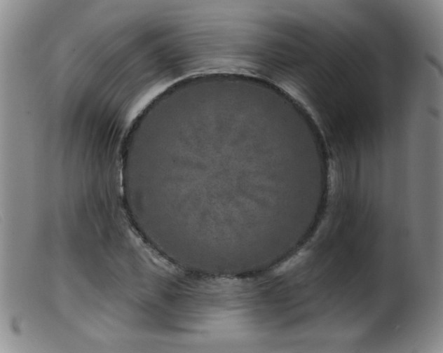 X0000099540925200805161424