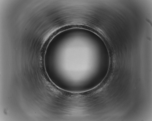 X0000099540926200805161424