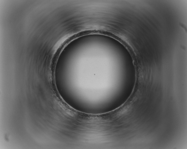 X0000099540927200805161424