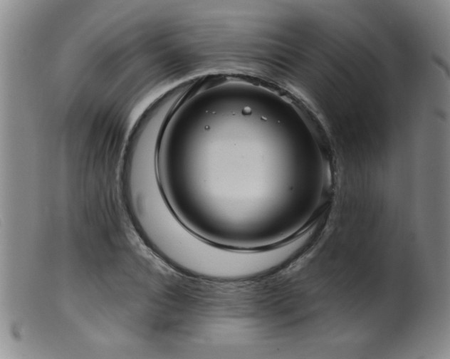 X0000099540928200805161424