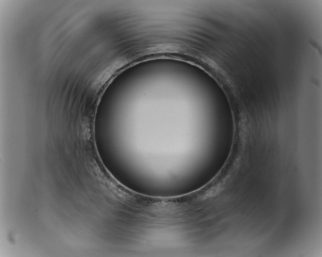 X0000099540929200805161424