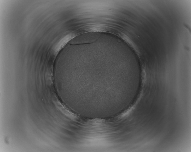 X0000099540930200805161424