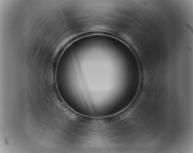 X0000099540931200805161424