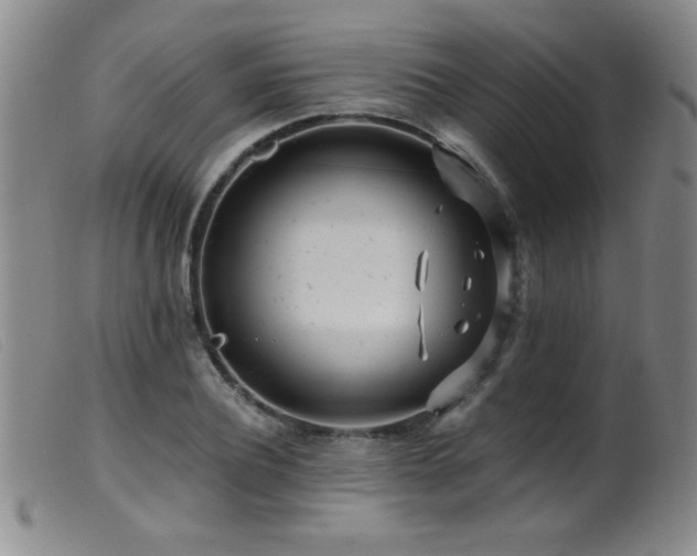 X0000099540932200805161424