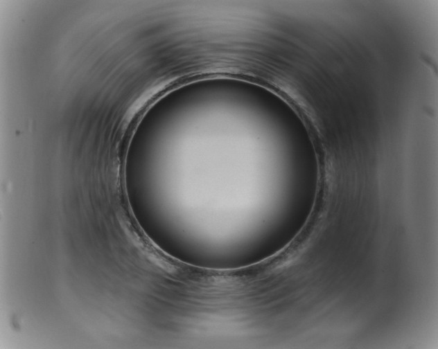 X0000099540933200805161424