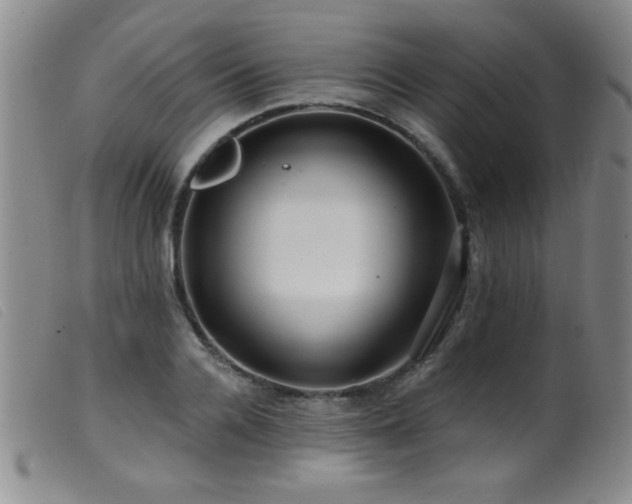 X0000099540936200805161424