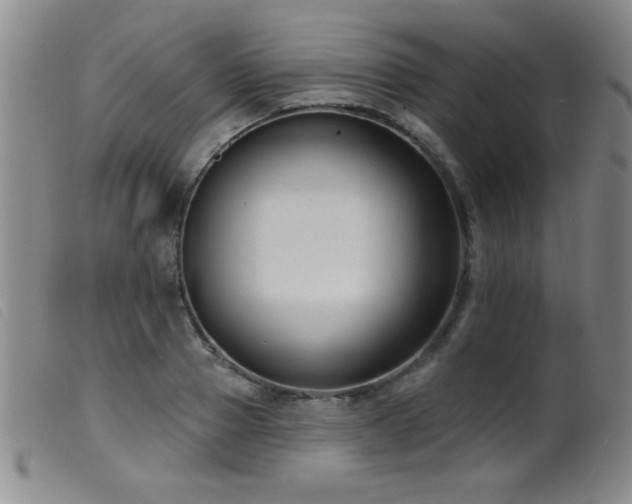 X0000099540937200805161424