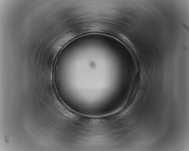 X0000099540938200805161424