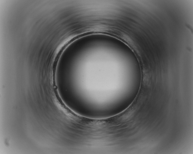 X0000099540939200805161424