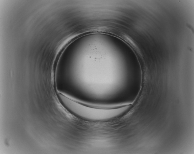 X0000099540940200805161424