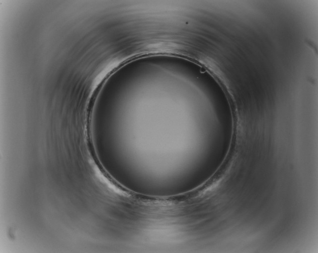 X0000099540941200805161424