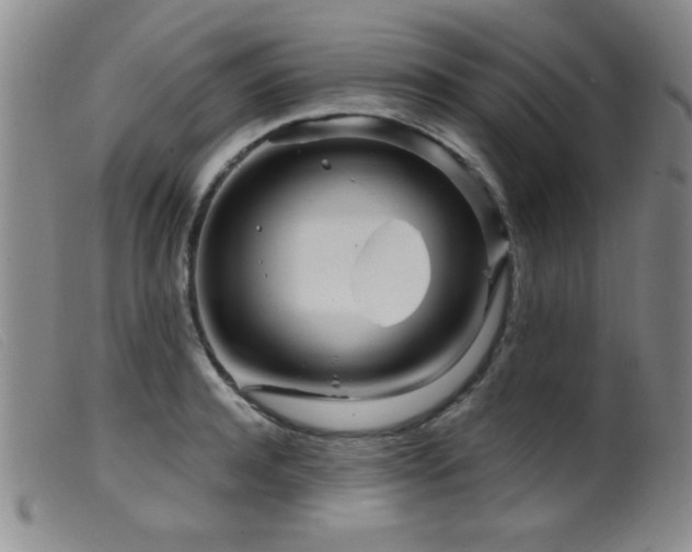 X0000099540944200805161424