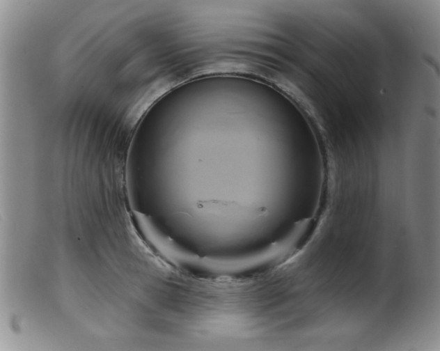 X0000099540945200805161424