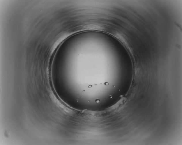 X0000099540947200805161424