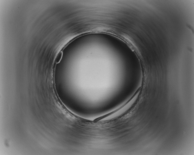 X0000099540948200805161424