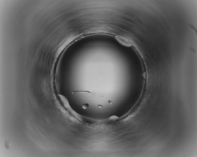 X0000099540949200805161424
