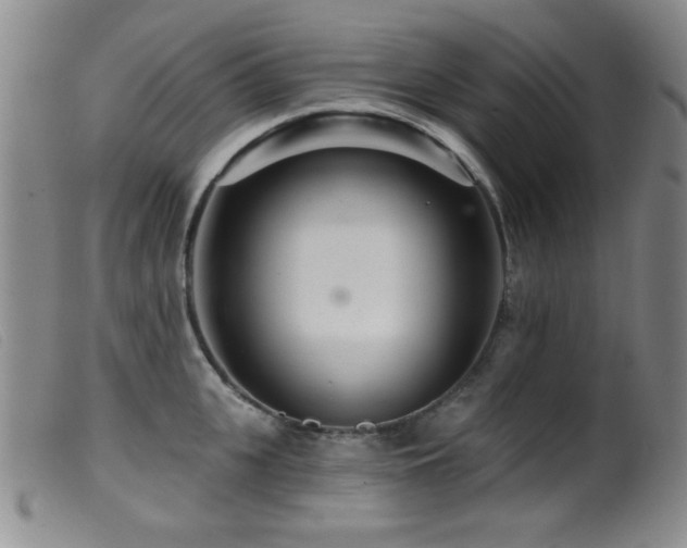 X0000099540951200805161424