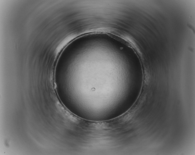 X0000099540952200805161424