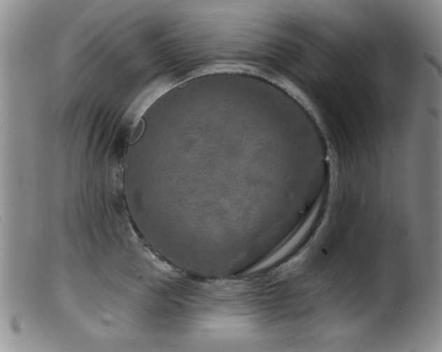X0000099540953200805161425