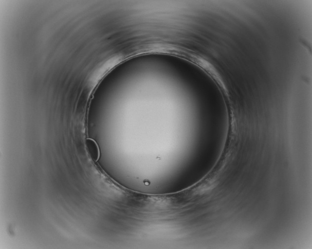 X0000099540954200805161425