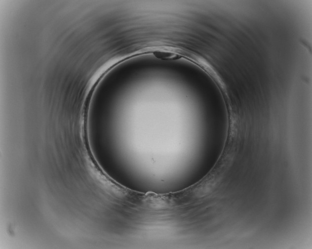 X0000099540955200805161425