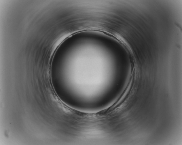 X0000099540956200805161425