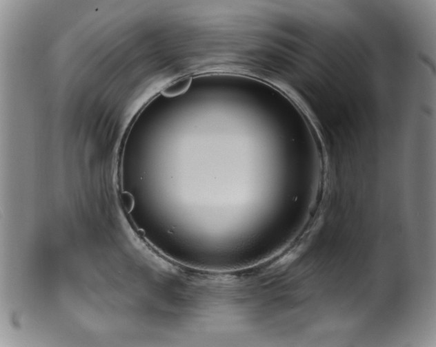 X0000099540957200805161425