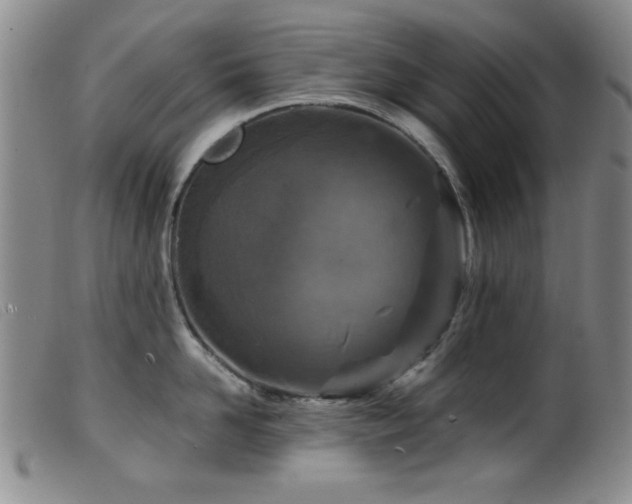 X0000099540958200805161425