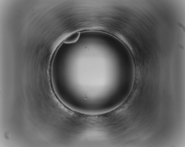 X0000099540959200805161425