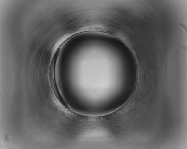 X0000099540960200805161425