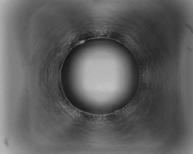 X0000099540961200805161424