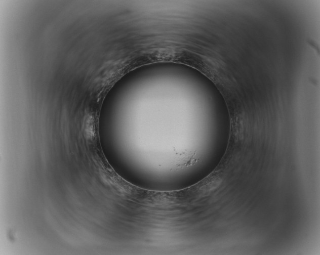 X0000099540962200805161424