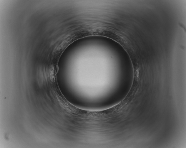 X0000099540963200805161424