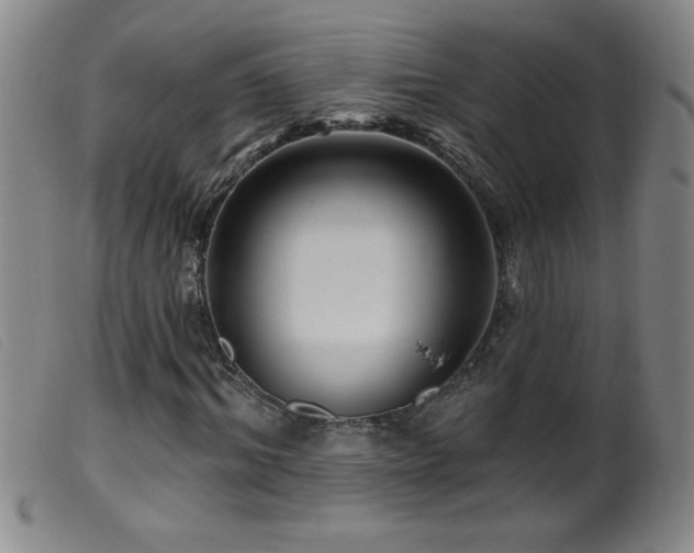 X0000099540964200805161424
